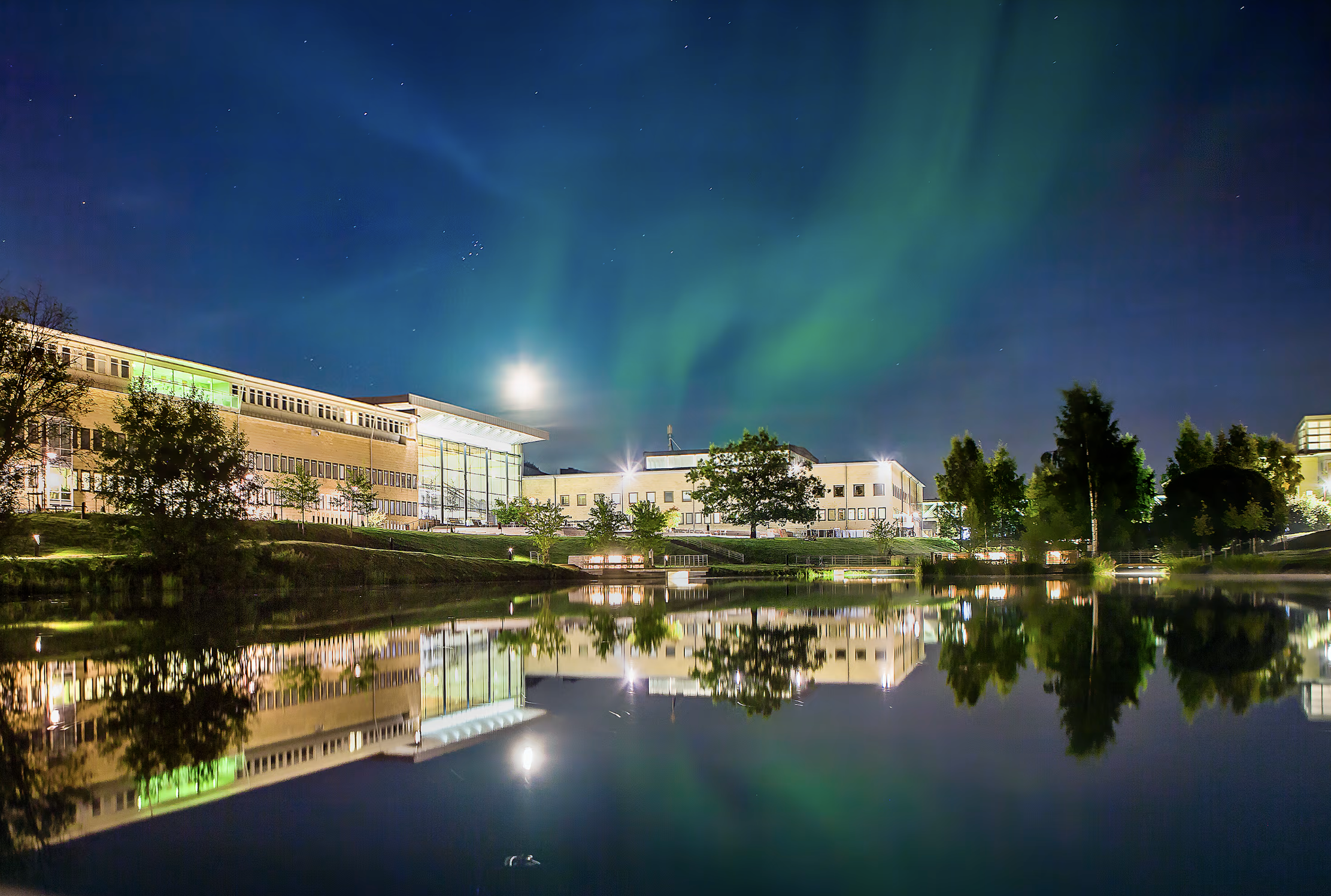 PostDoc at Umea University